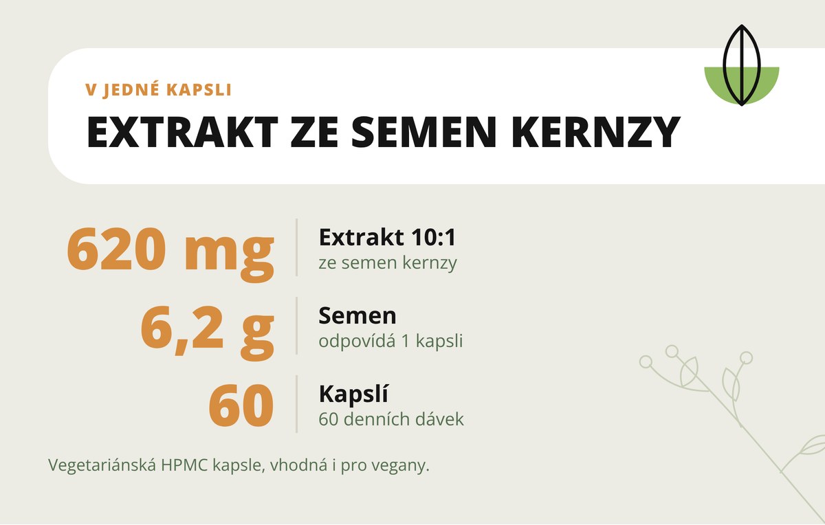 Kernza Dona Natura – v 1 kapsli 620 mg extraktu ze semen 10:1 ve vegetariánské HPMC kapsli
