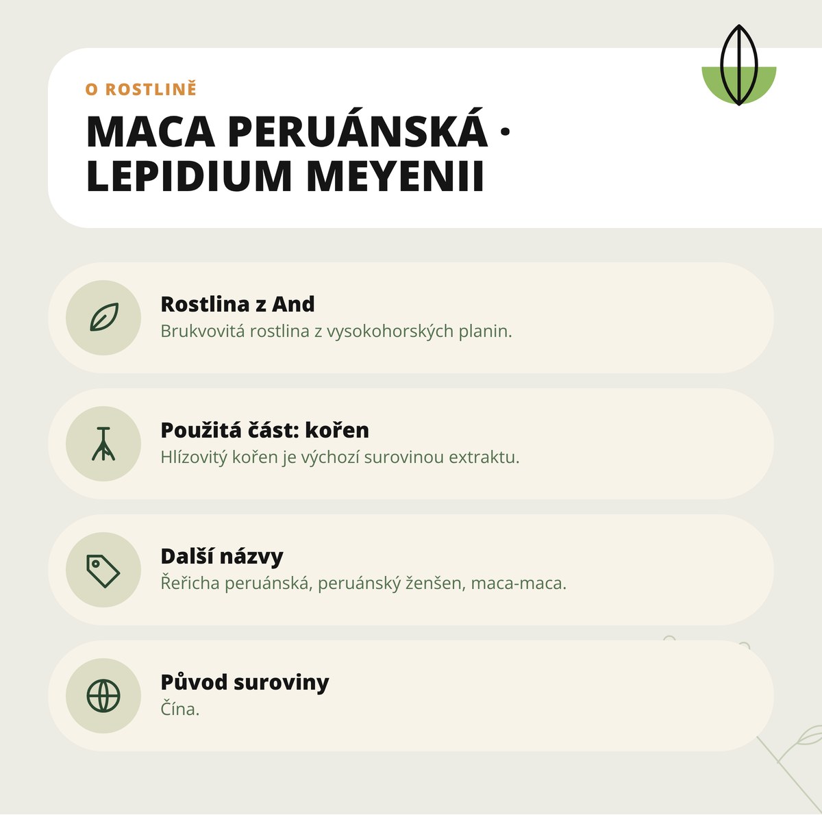 Maca peruánská Dona Natura – o rostlině Lepidium meyenii: použitá část, další názvy a původ suroviny