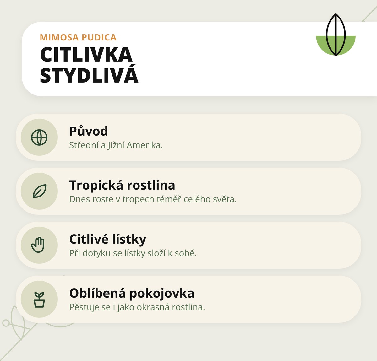 Mimosa pudica extrakt 10:1 v kapslích Dona Natura – citlivka stydlivá: původ ze Střední a Jižní Ameriky, lístky se při dotyku skládají