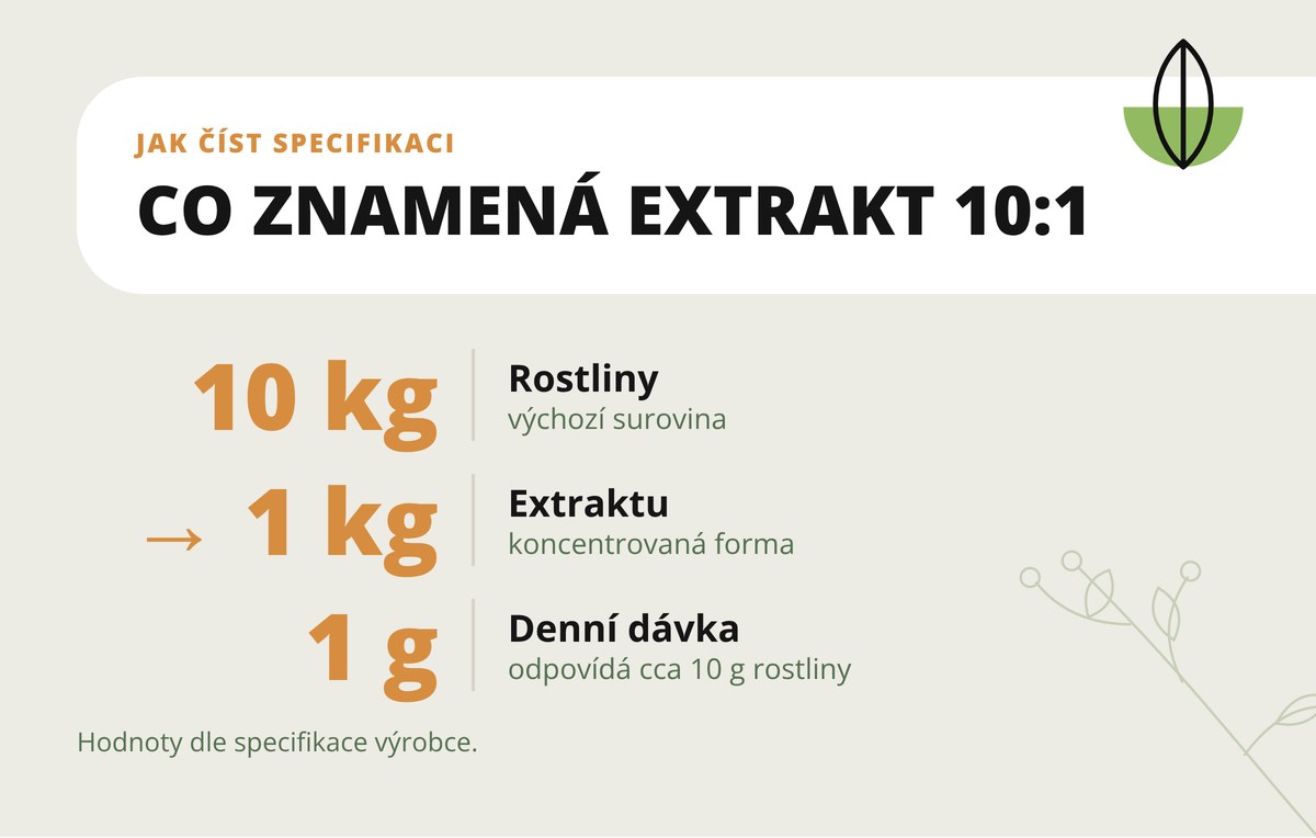 Mimosa pudica extrakt 10:1 v prášku Dona Natura – poměr 10:1: z 10 kg rostliny 1 kg extraktu