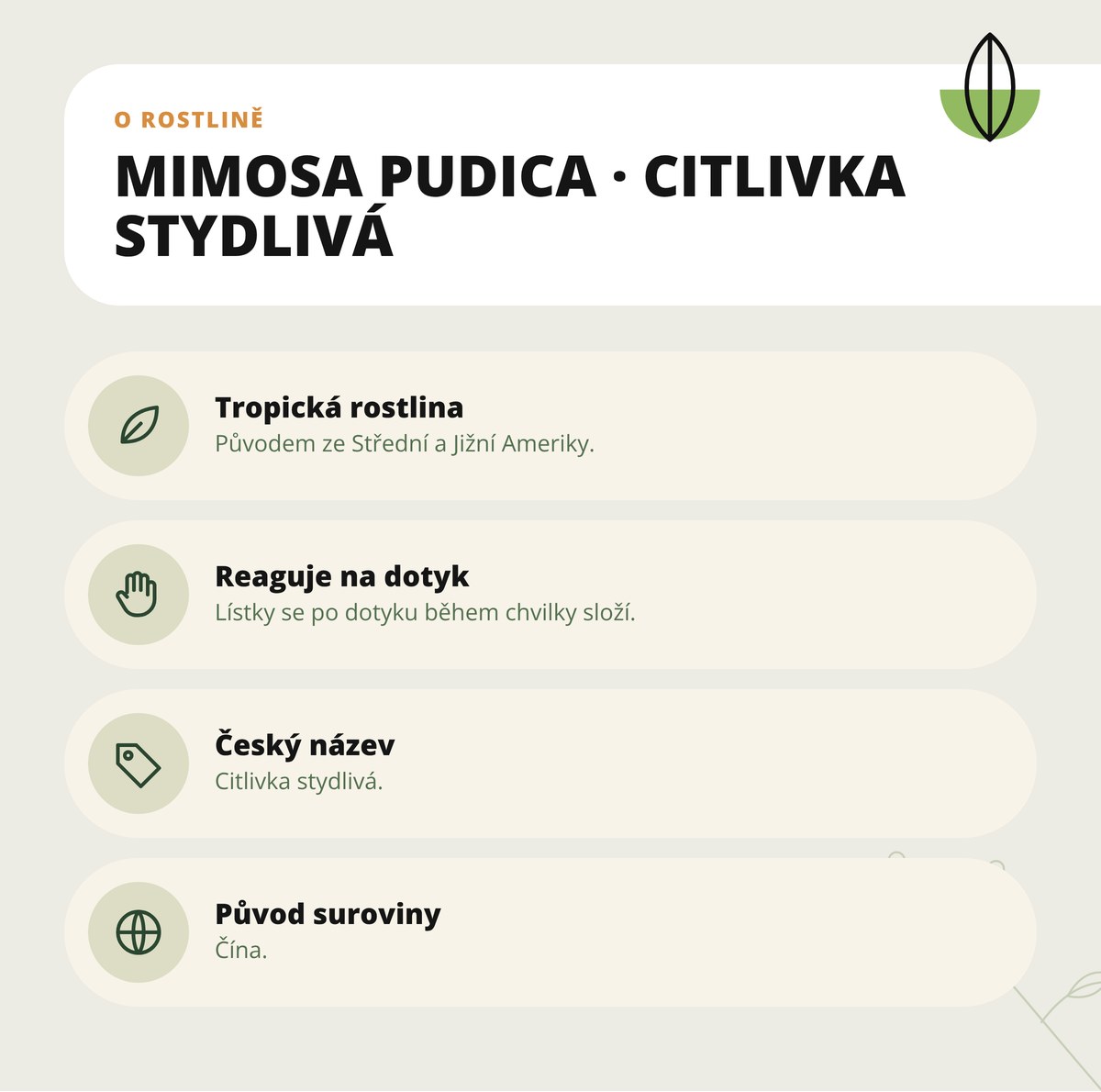 Mimosa pudica extrakt 10:1 v prášku Dona Natura – citlivka stydlivá: původ, lístky se při dotyku skládají