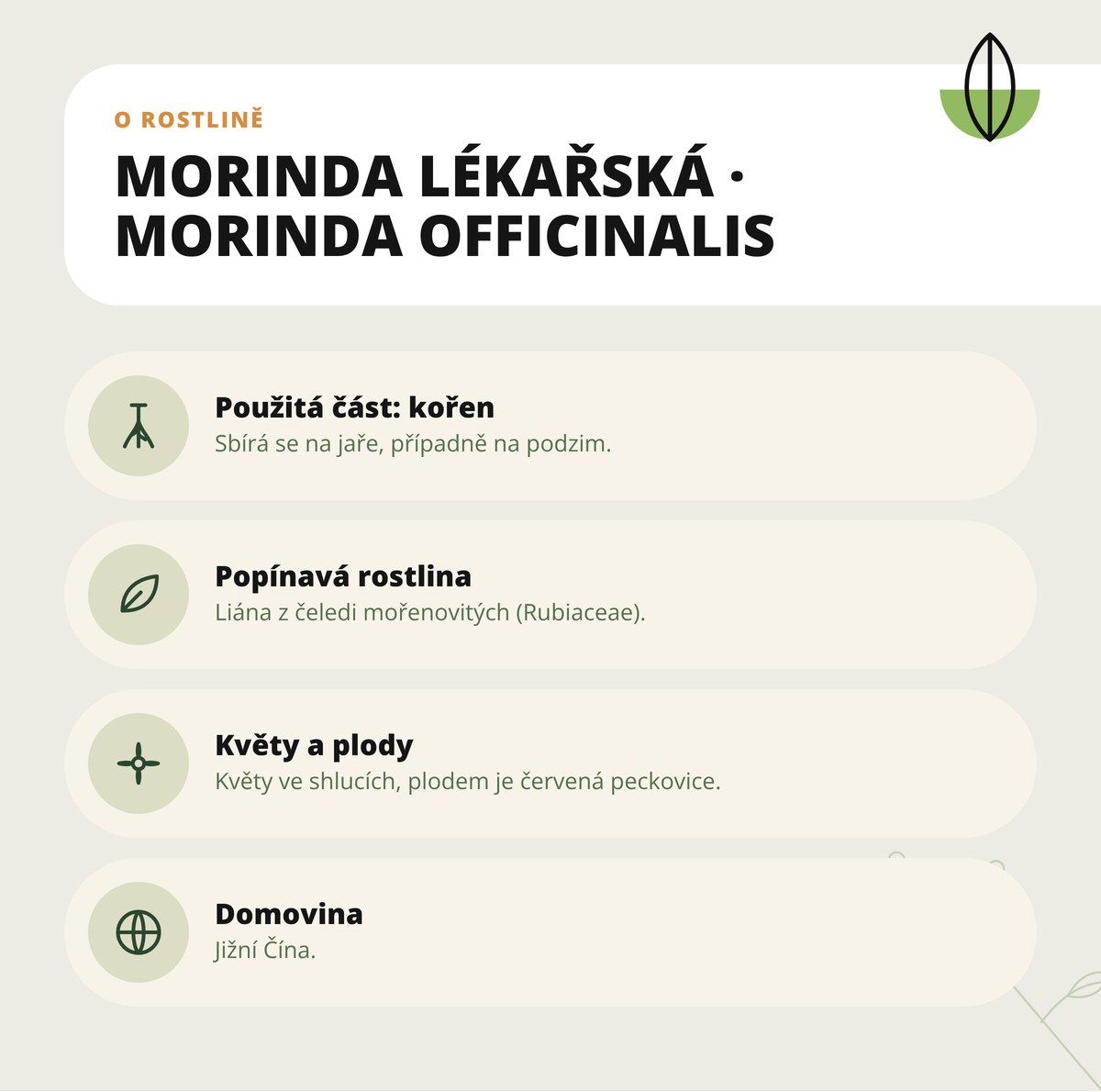 Morinda lékařská Dona Natura – Morinda officinalis: popínavá rostlina z čeledi mořenovitých, použitá část kořen, domovina jižní Čína