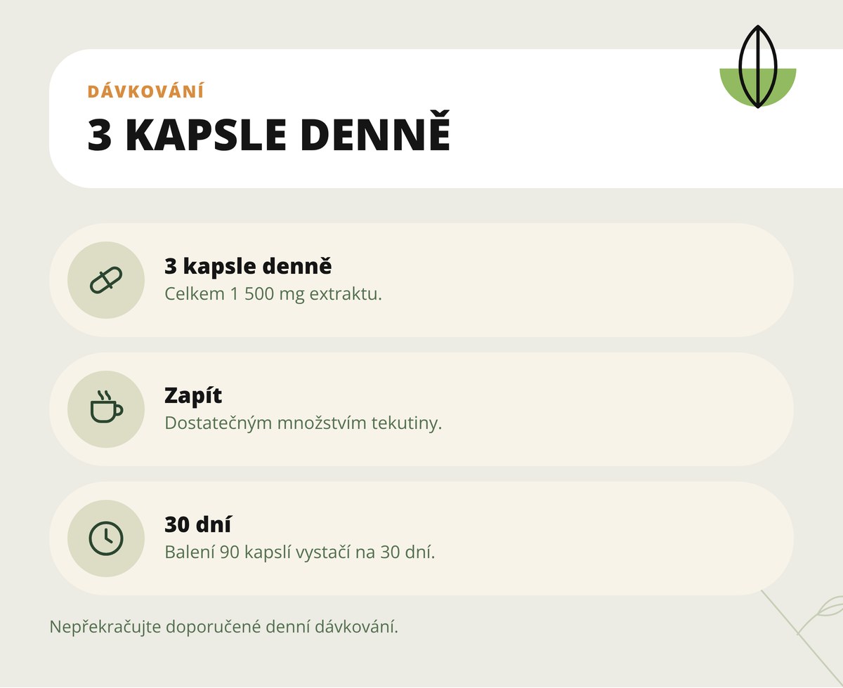 Olivový list extrakt 10:1 v kapslích Dona Natura – dávkování 3 kapsle denně, zapít dostatečným množstvím tekutiny