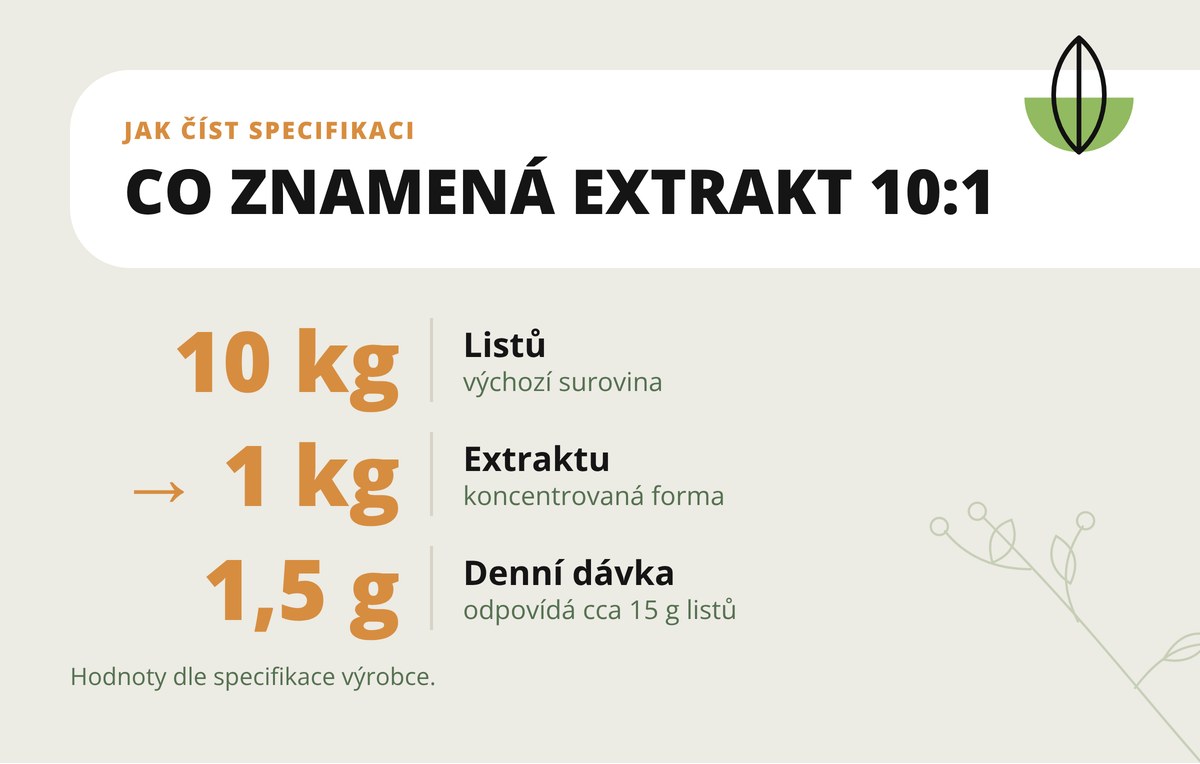 Olivový list extrakt 10:1 v kapslích Dona Natura – poměr 10:1: z 10 kg listů 1 kg extraktu