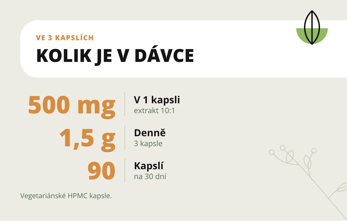 Olivový list extrakt 10:1 v kapslích Dona Natura – 500 mg extraktu v kapsli, 1500 mg v denní dávce, 90 kapslí na 30 dní
