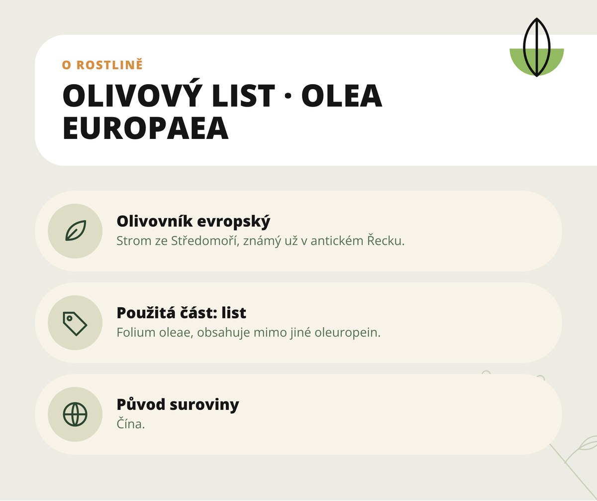 Olivový list extrakt 10:1 v kapslích Dona Natura – o rostlině olivovník evropský: použitá část list, další názvy a původ