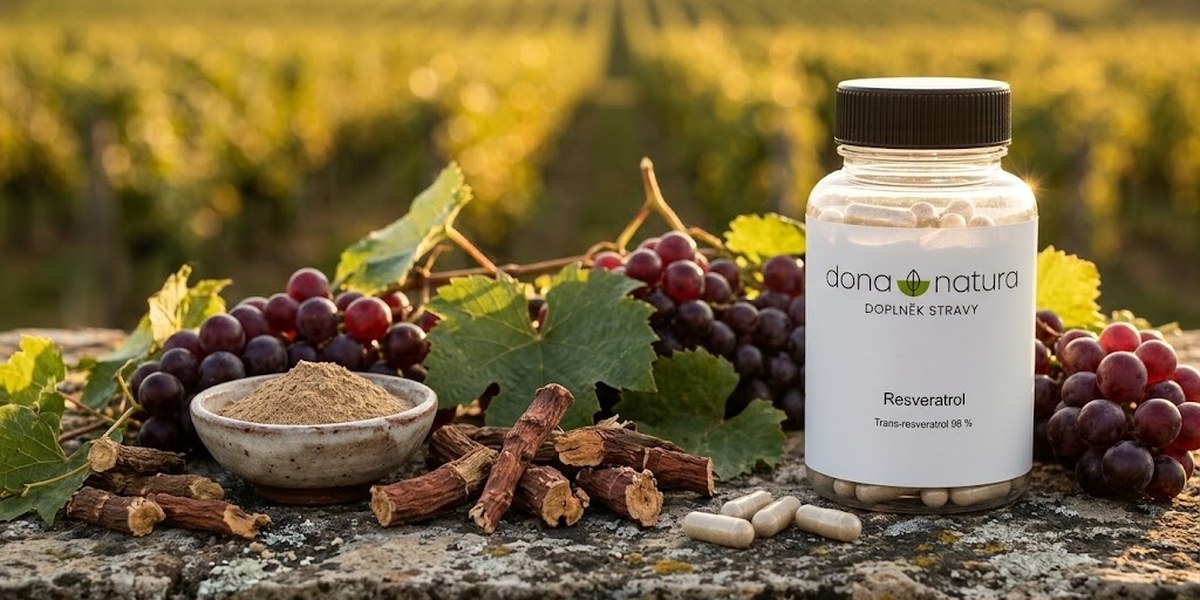 Resveratrol trans-resveratrol 98 % Dona Natura mezi hrozny a kořenem křídlatky japonské