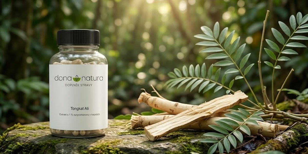 Tongkat Ali extrakt s 1 % eurycomanonu v kapslích Dona Natura mezi kusy kořene Eurycoma longifolia