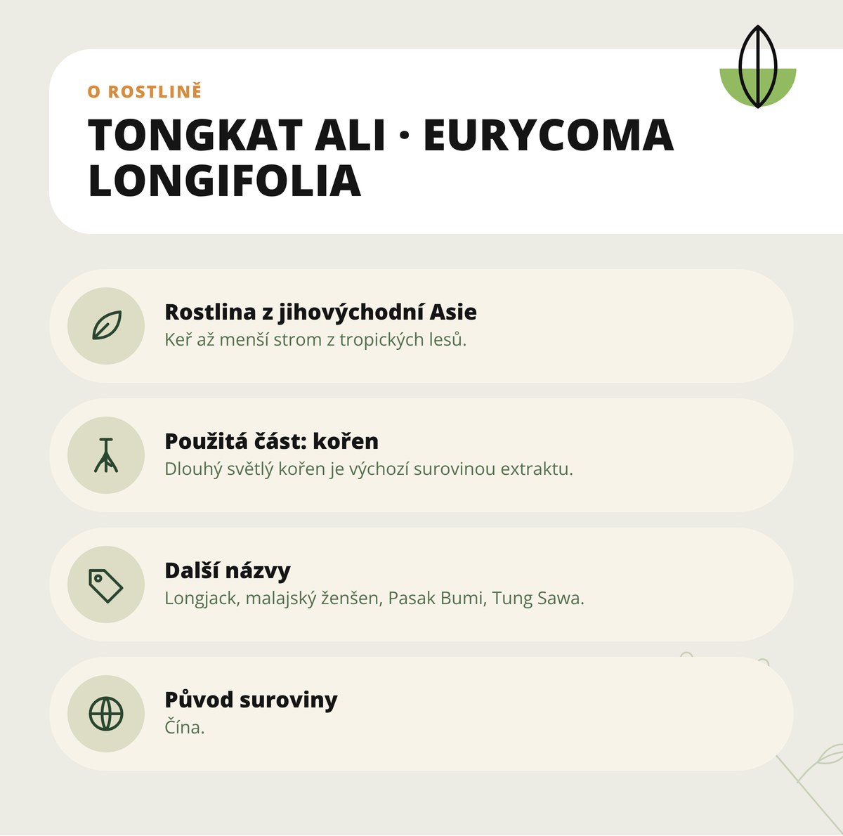 Tongkat Ali Dona Natura – o rostlině Eurycoma longifolia: původ, alternativní názvy a použitá část